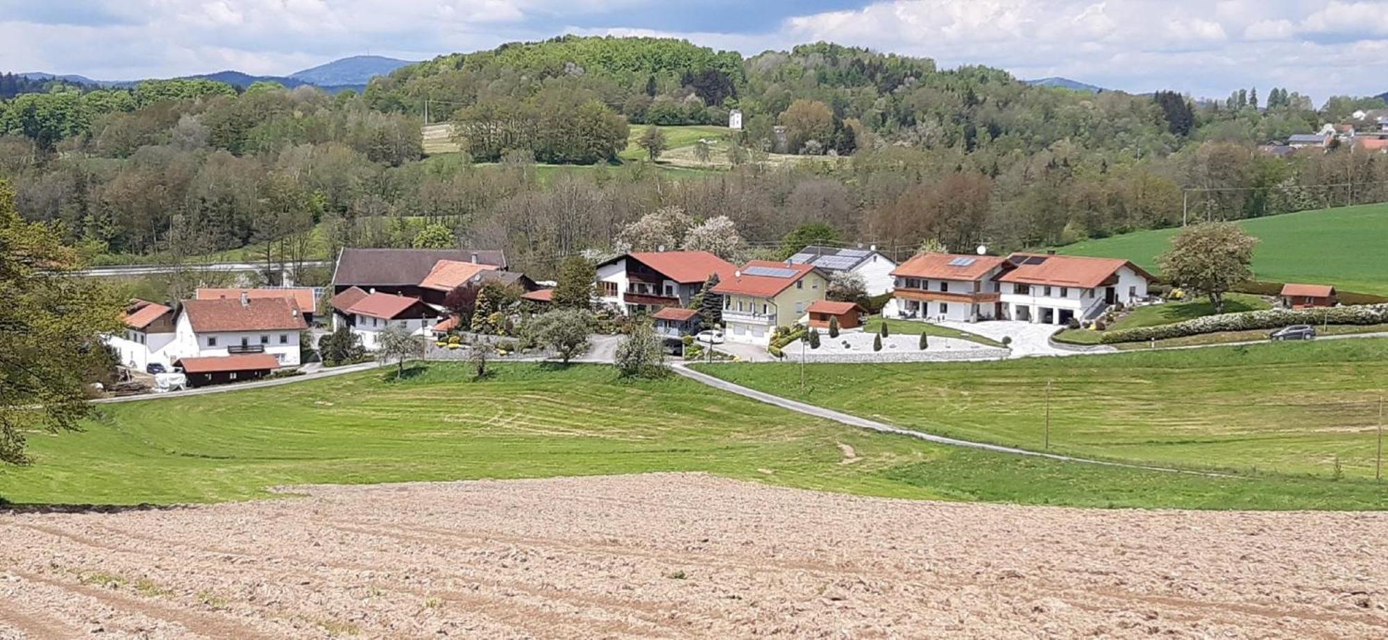 Ferienwohnungen Krenn Tittling Bagian luar foto